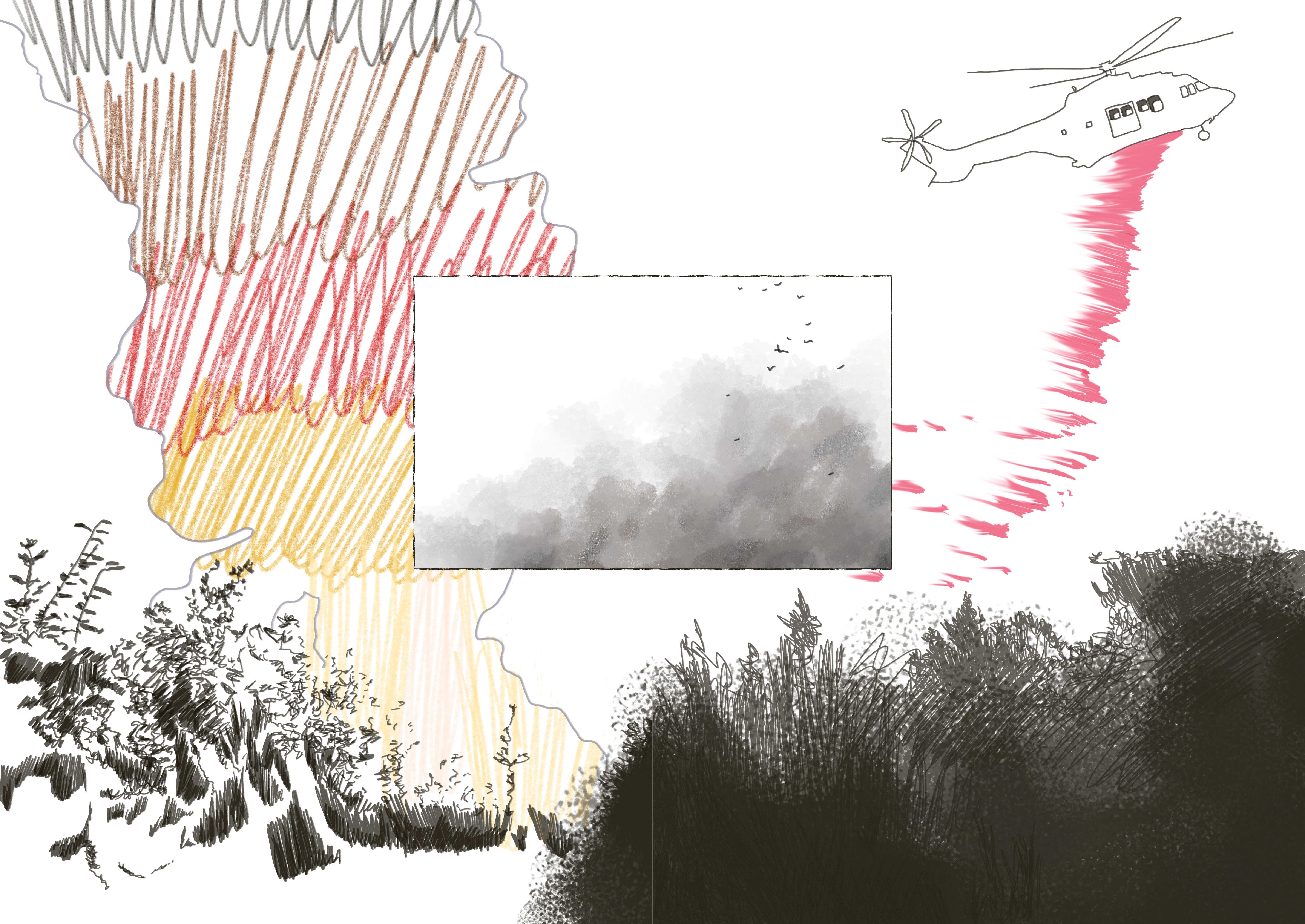Pages 5 & 6